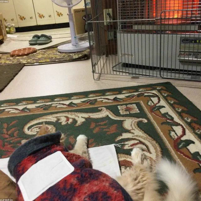 拼接地垫